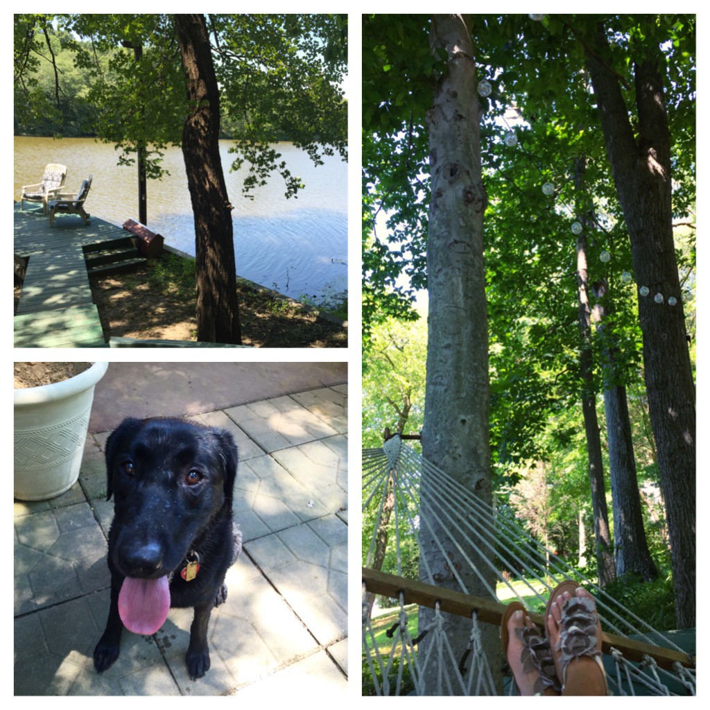 Relaxing in my father-in-law's backyard & playing with his black lab 