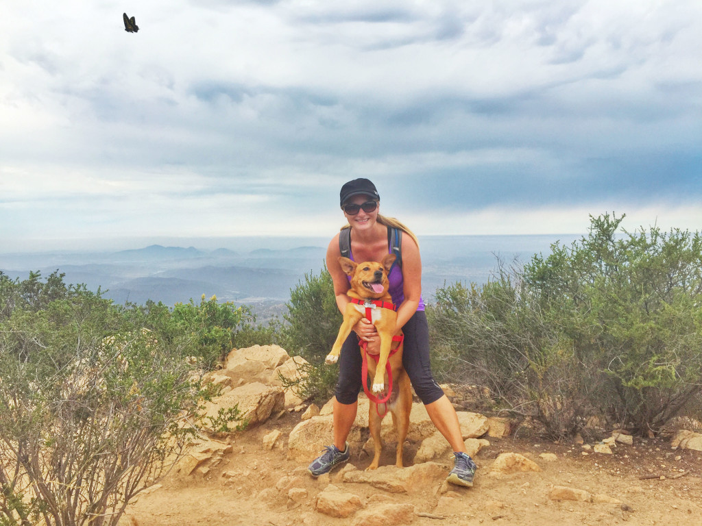 At the peak of Iron Mountain with my pup