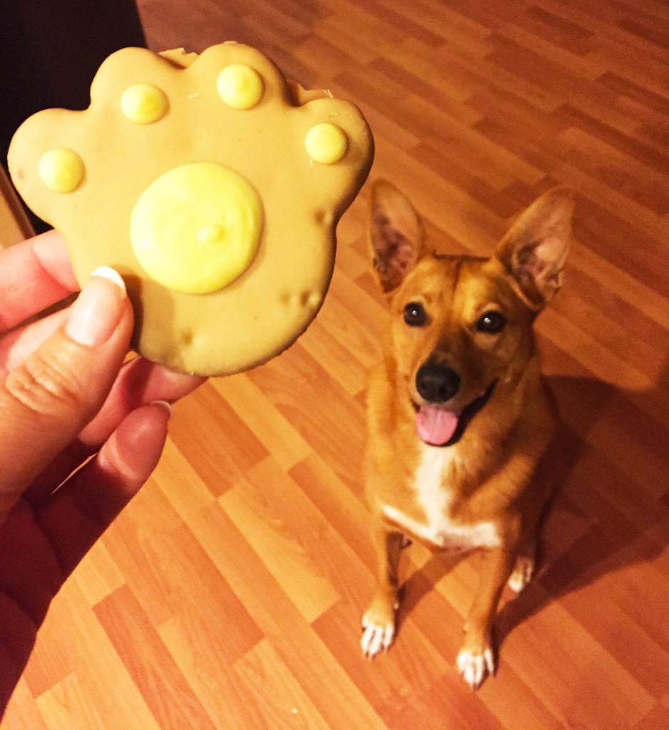 Big Bear-bear claw treat