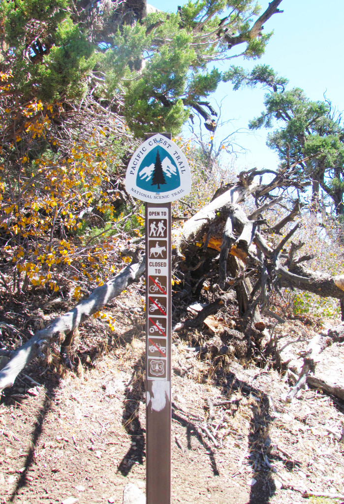 PCT sign