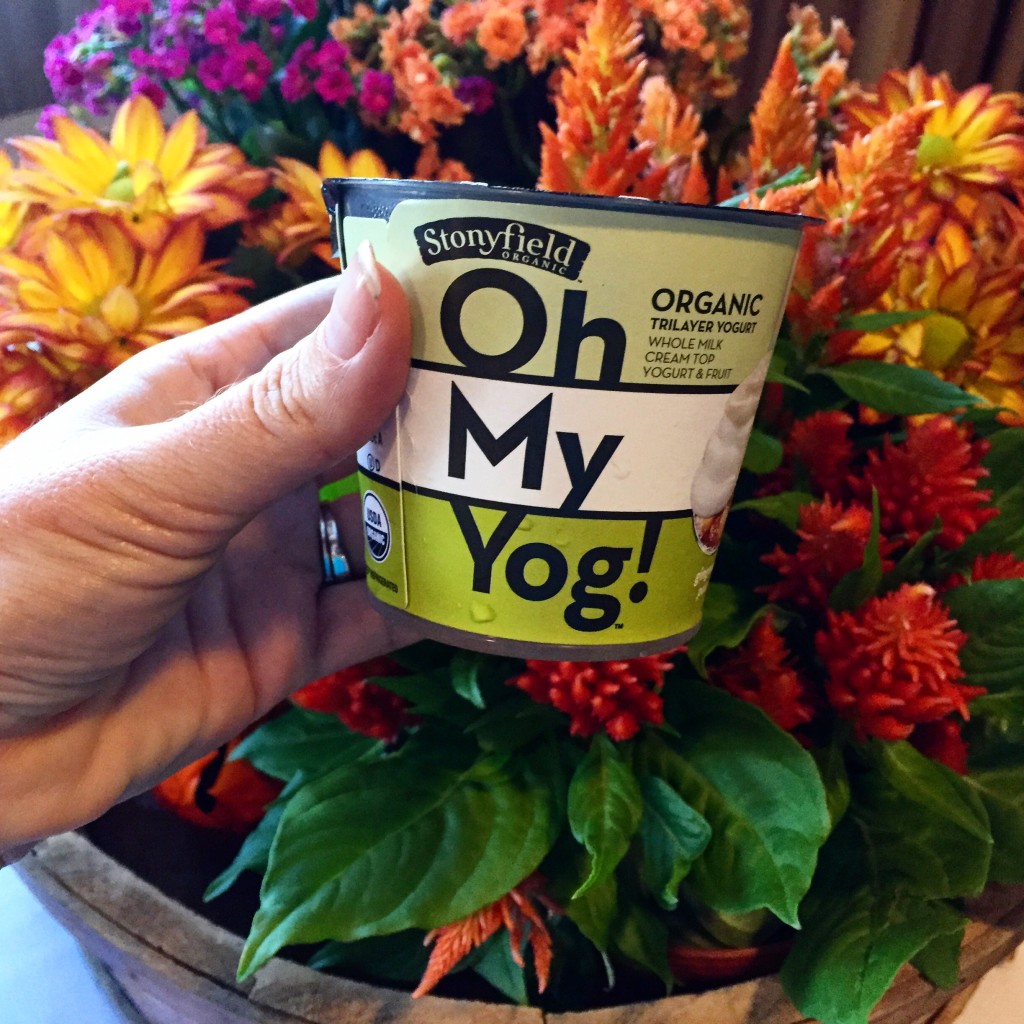 Stonyfield Oh My Yog!