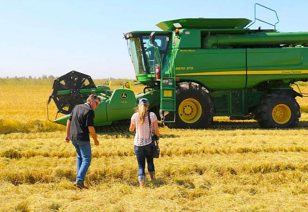 A Trip to Lundberg Family Farms in NorCal During their Rice Harvest
