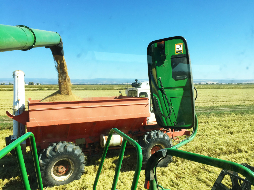 Lundberg Farms harvester