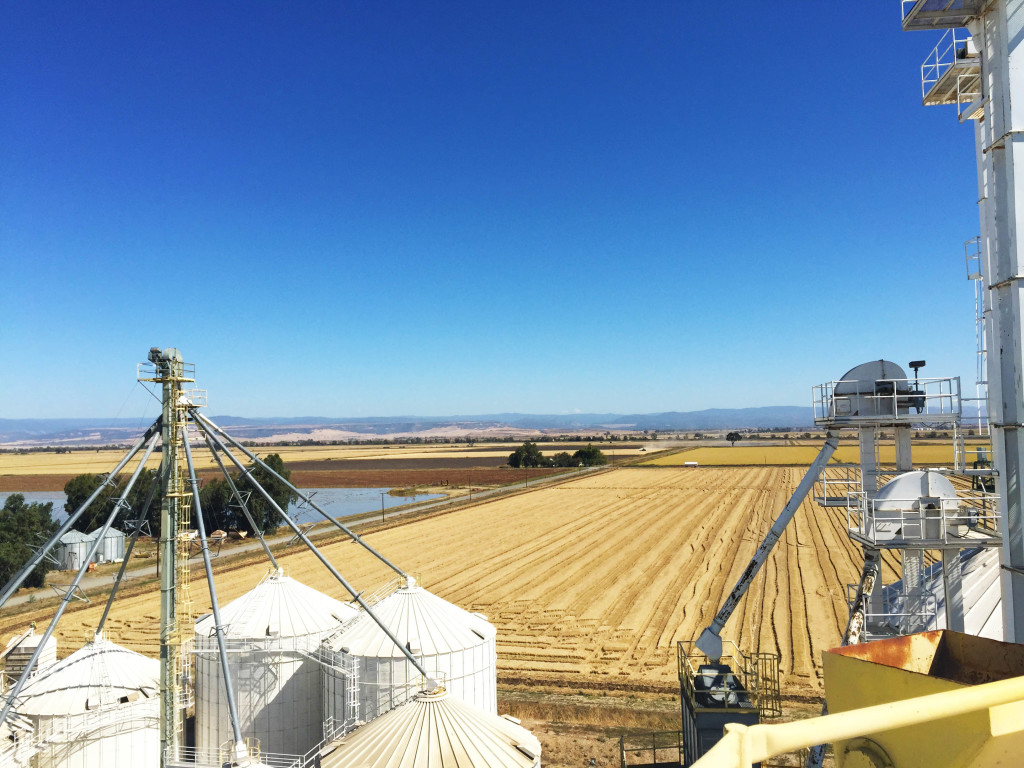 Lundberg Farms rice dryer view