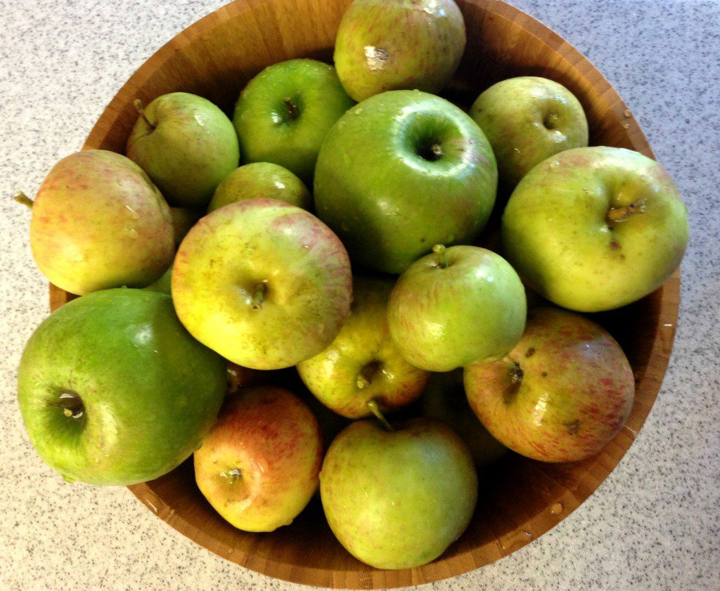 apple picking