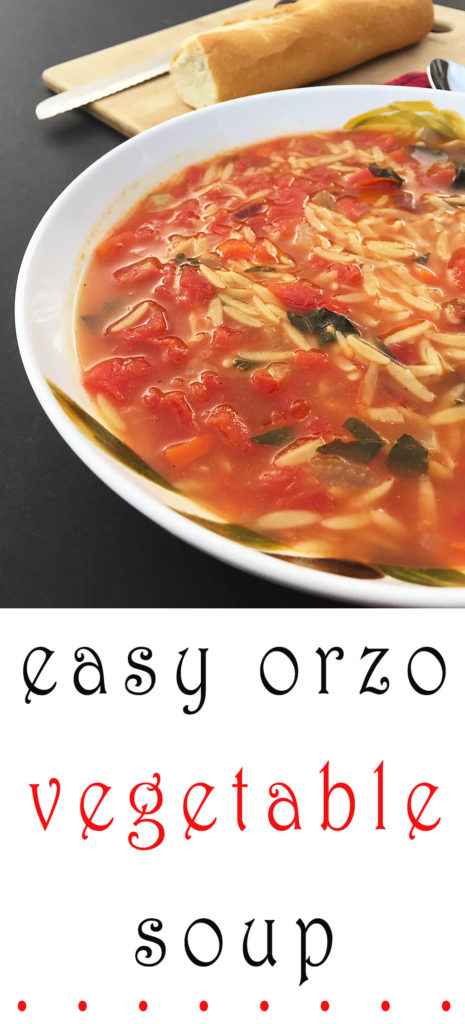 Easy Vegetable Orzo Soup