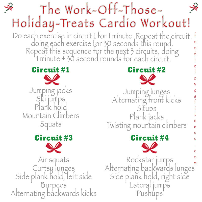 Holiday 2015 workout-2