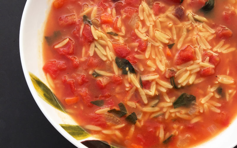 Easy Orzo Vegetable Soup {vegan}