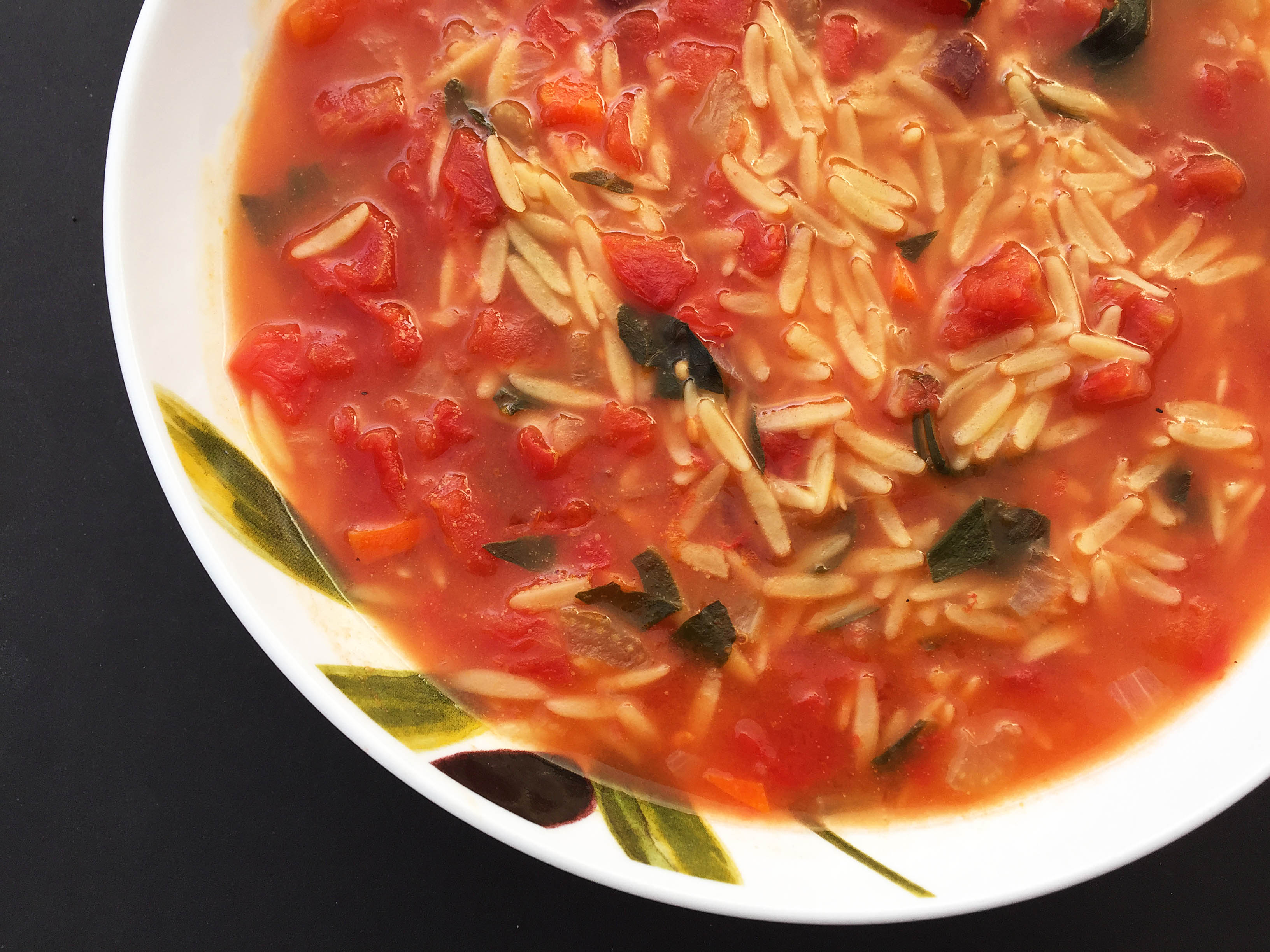 orzo vegetable soup-3