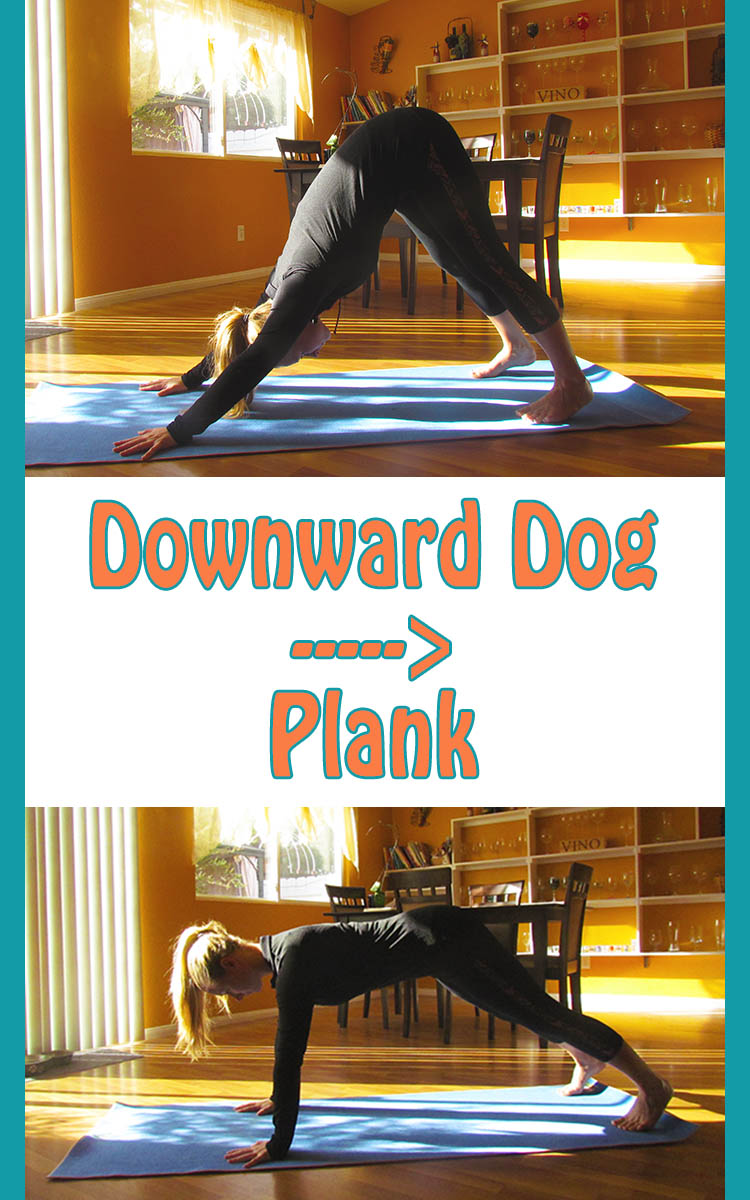Dog to Plank