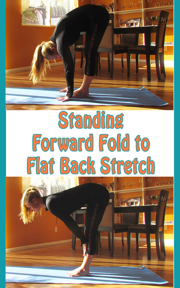 Forward Fold to Flat Back