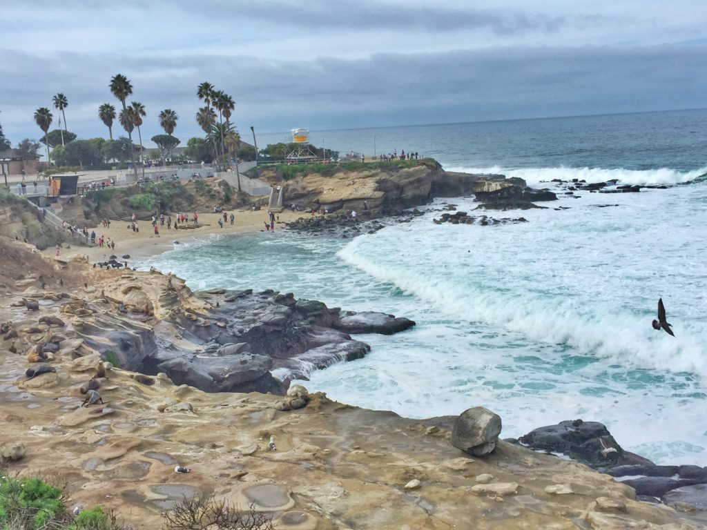 La Jolla-Jan 16