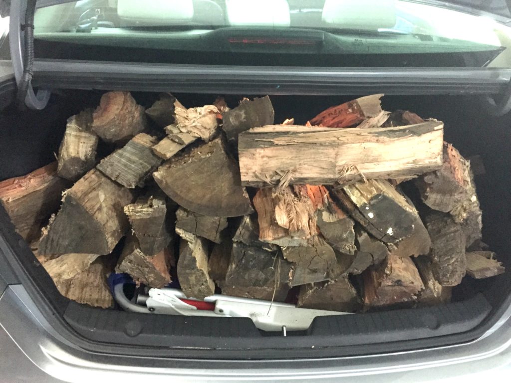 trunk of fire wood