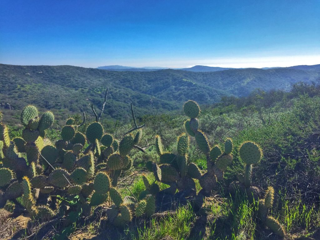 Newport Beach Hike-2