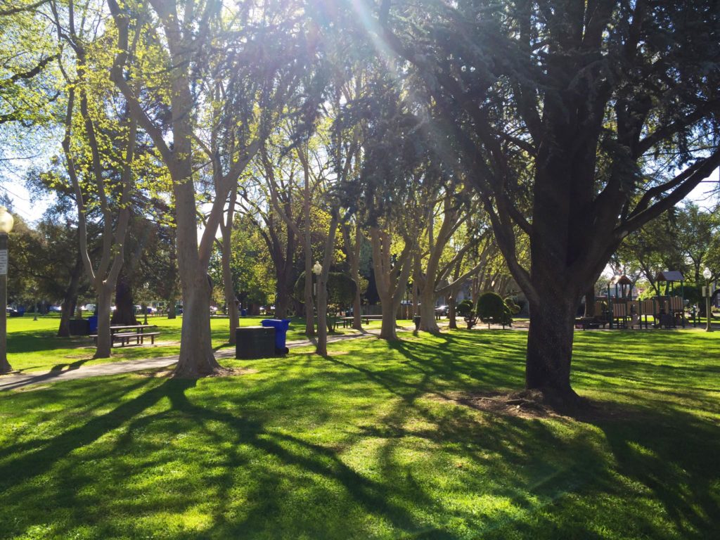 Downtown Sonoma park