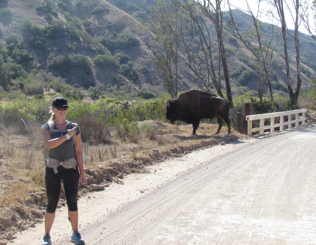 Hiking Catalina-1