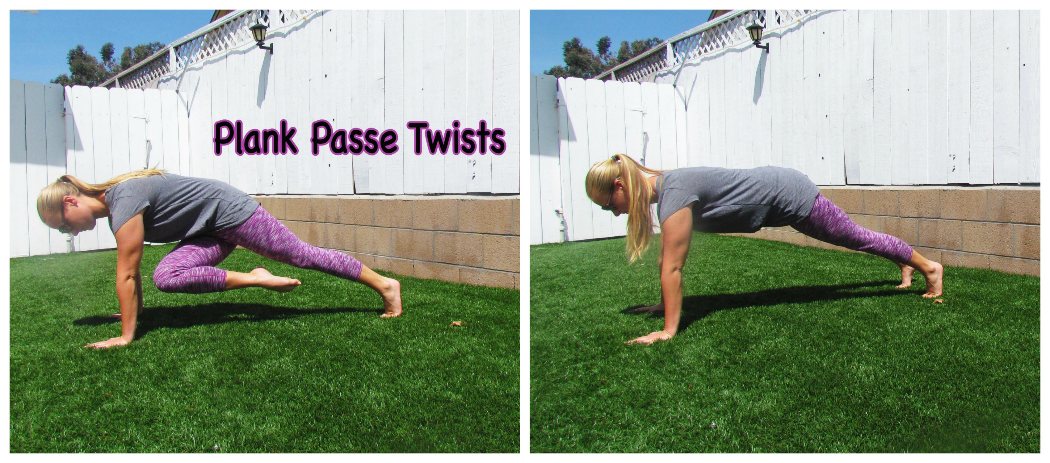 Plank Twists Collage