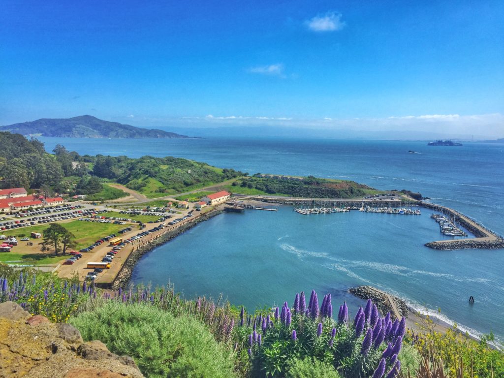 A gorgeous view of the San Francisco Bay