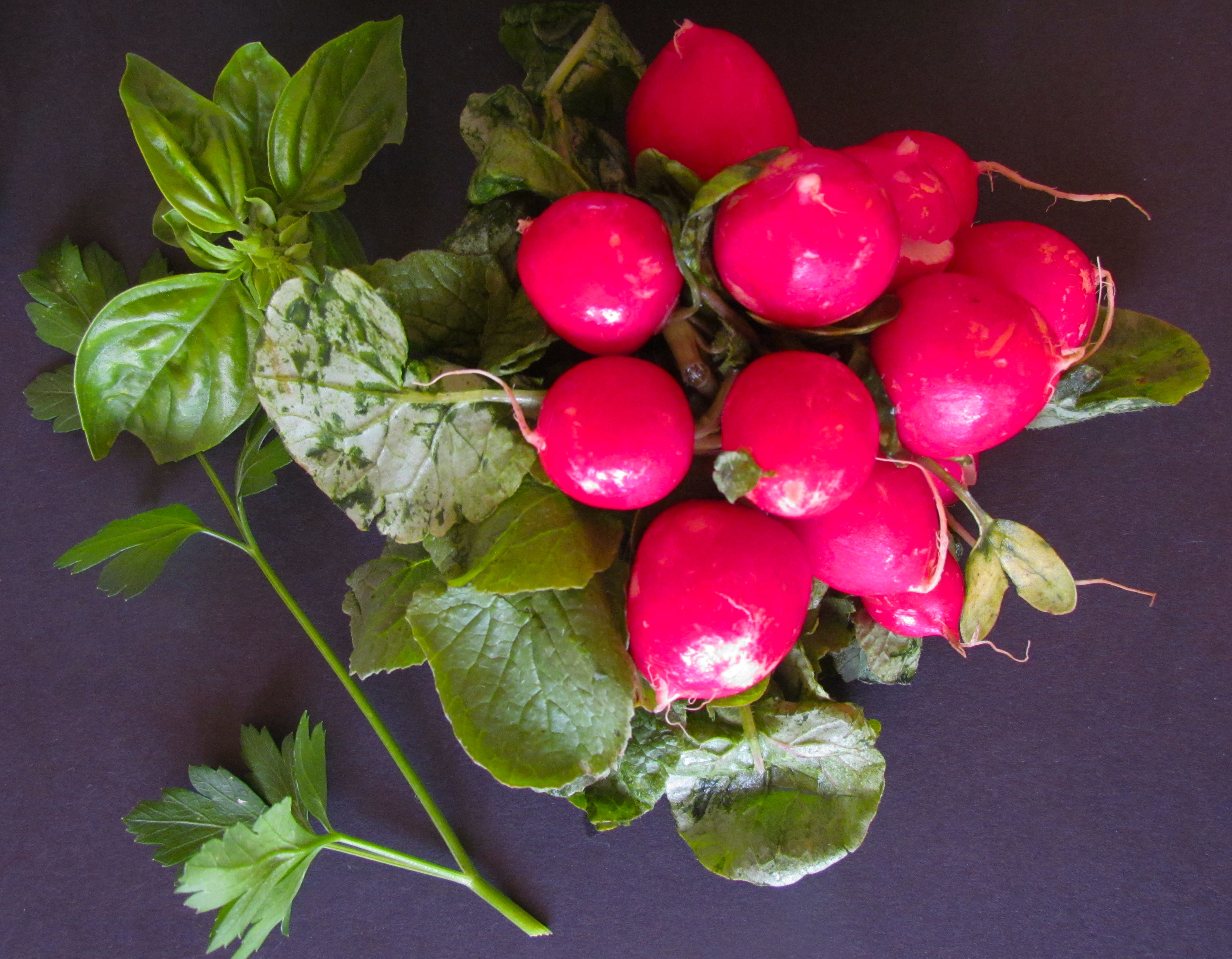 radishes and herbs