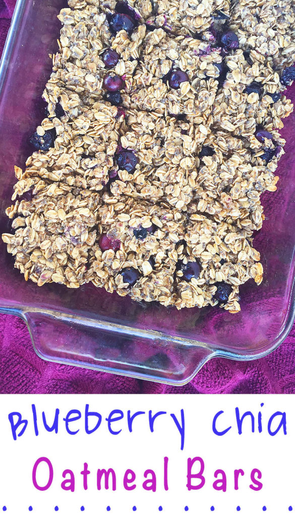 Blueberry Chia Oatmeal Bars