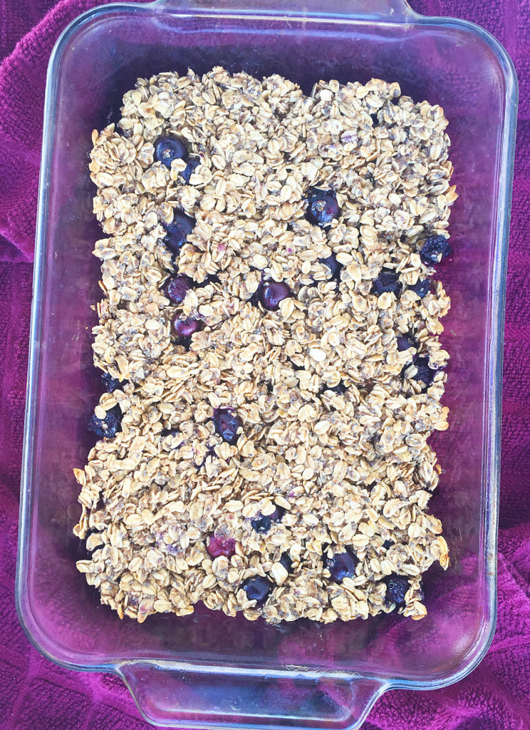 blueberry oat bars-3