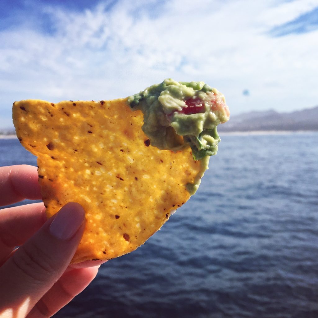 Cabo sailboat guacamole