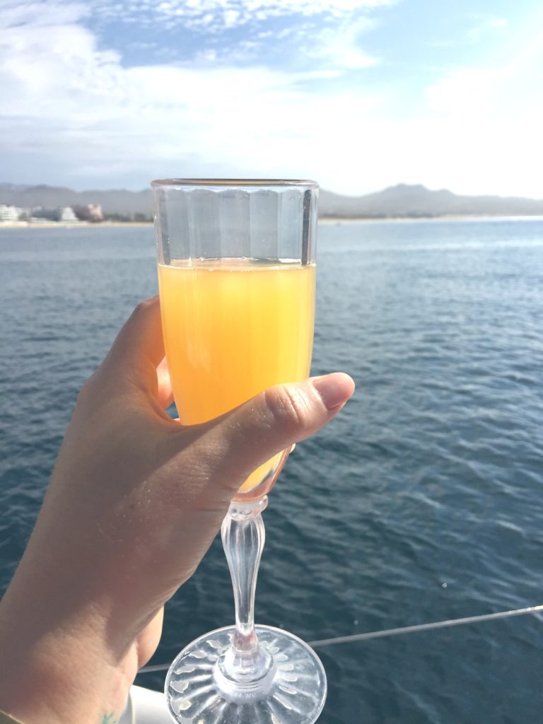Cabo sailing mimosa