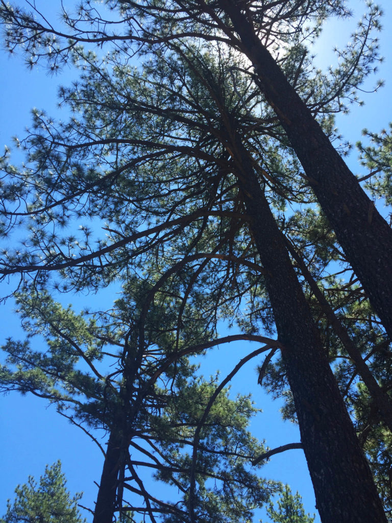 Cuyamaca Peak-1