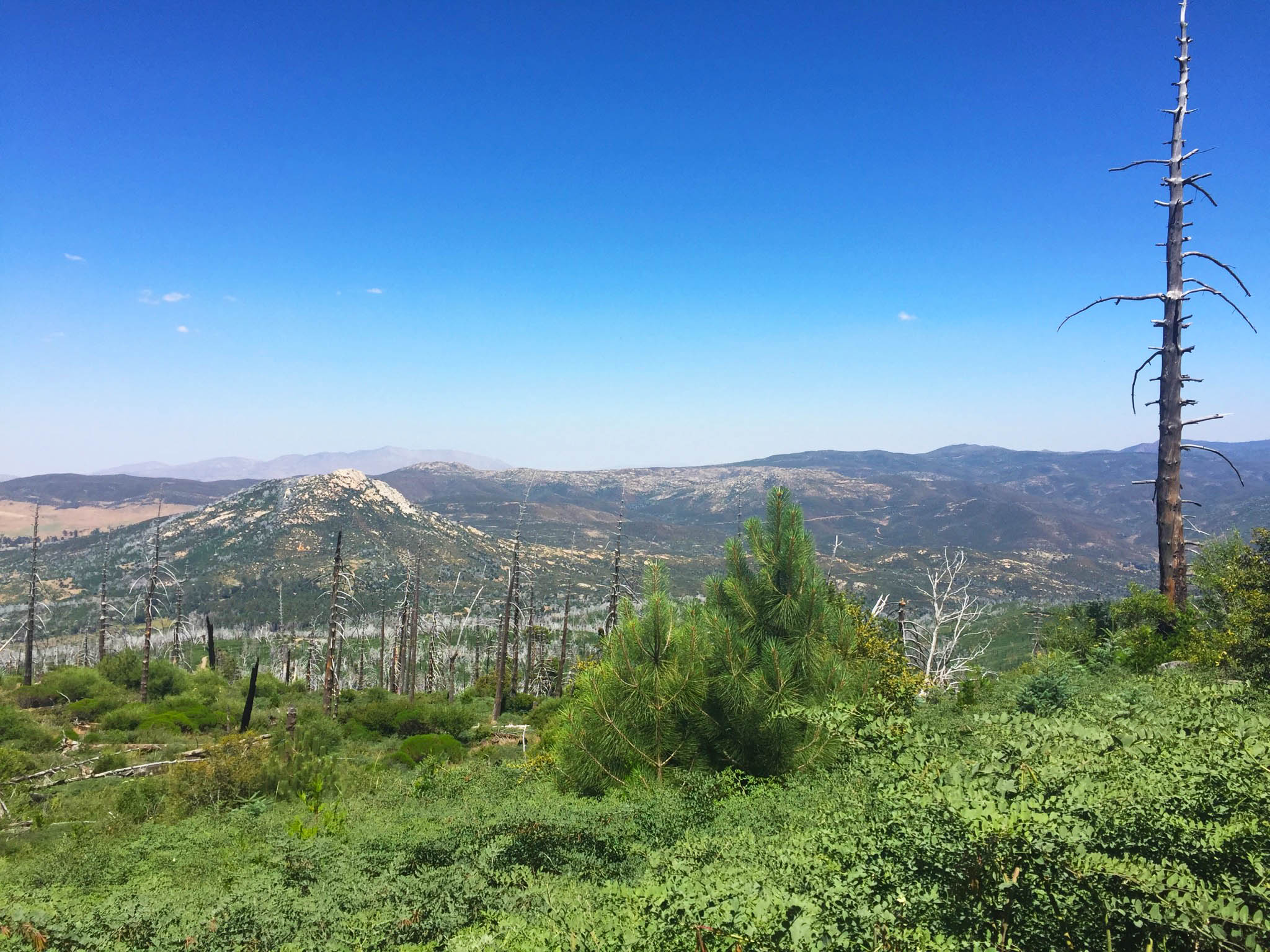 Cuyamaca Peak-15