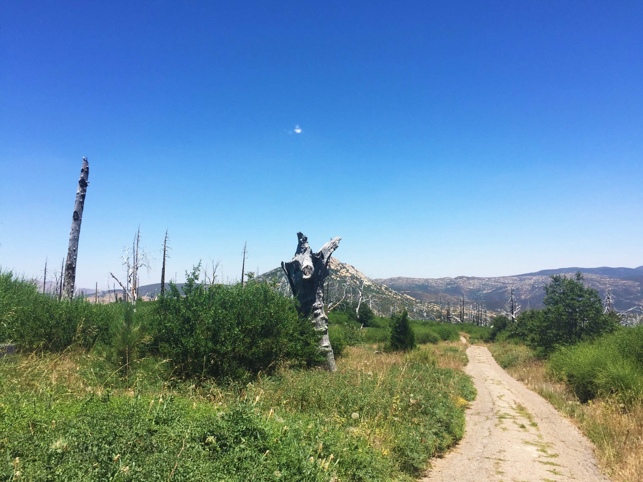 Cuyamaca Peak-5