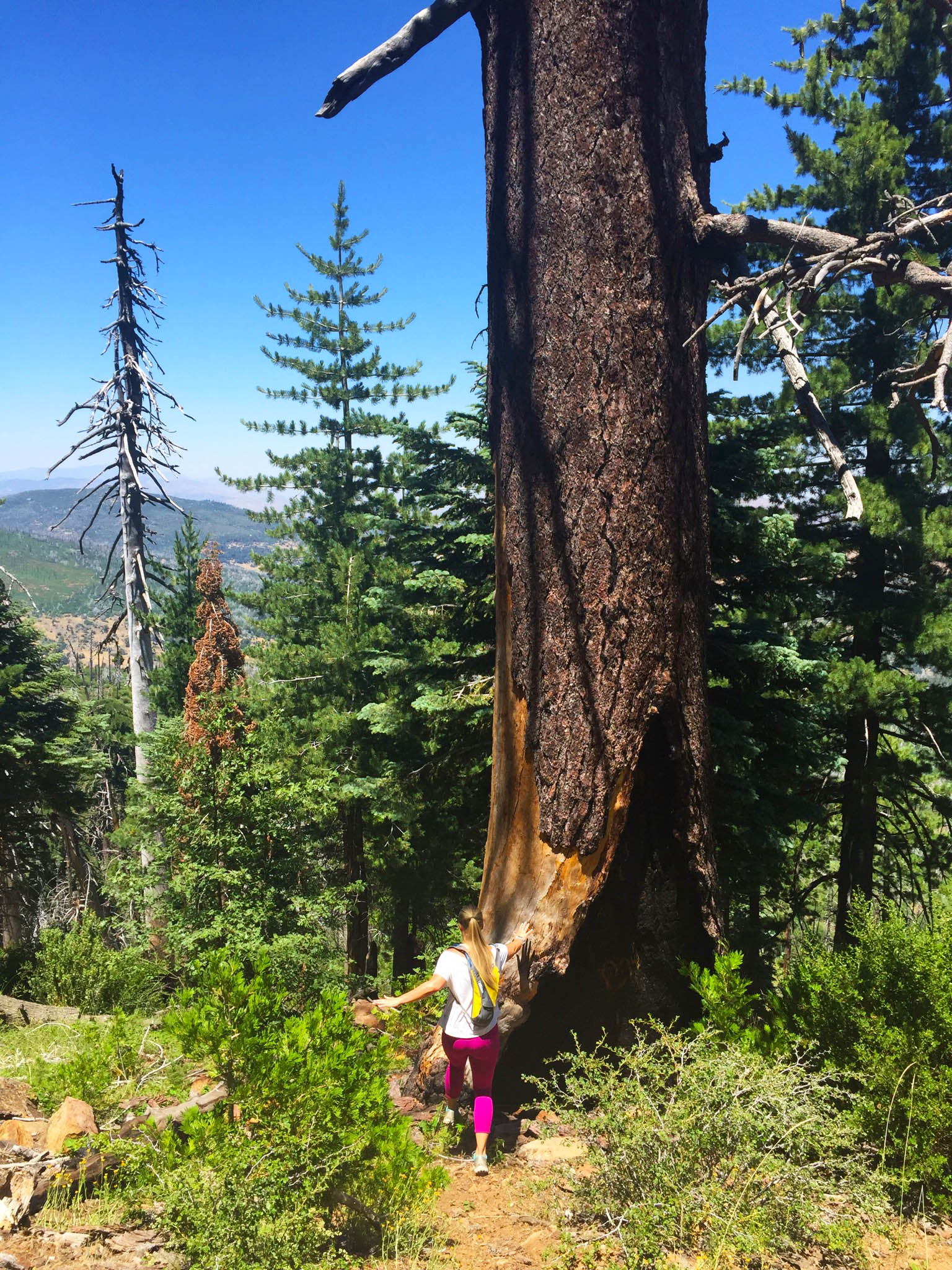 Cuyamaca Peak-7b