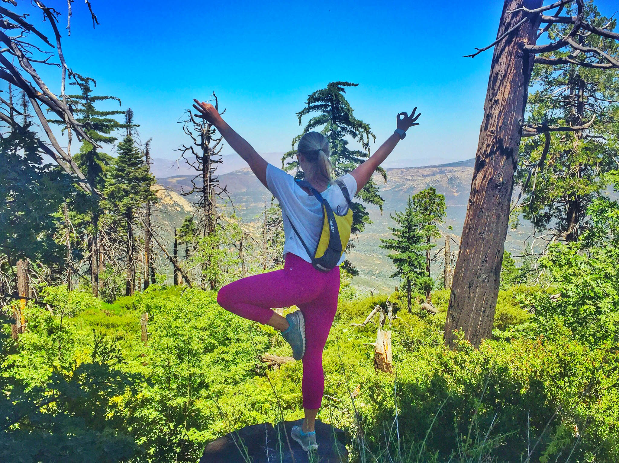 Cuyamaca Peak-Tree Pose