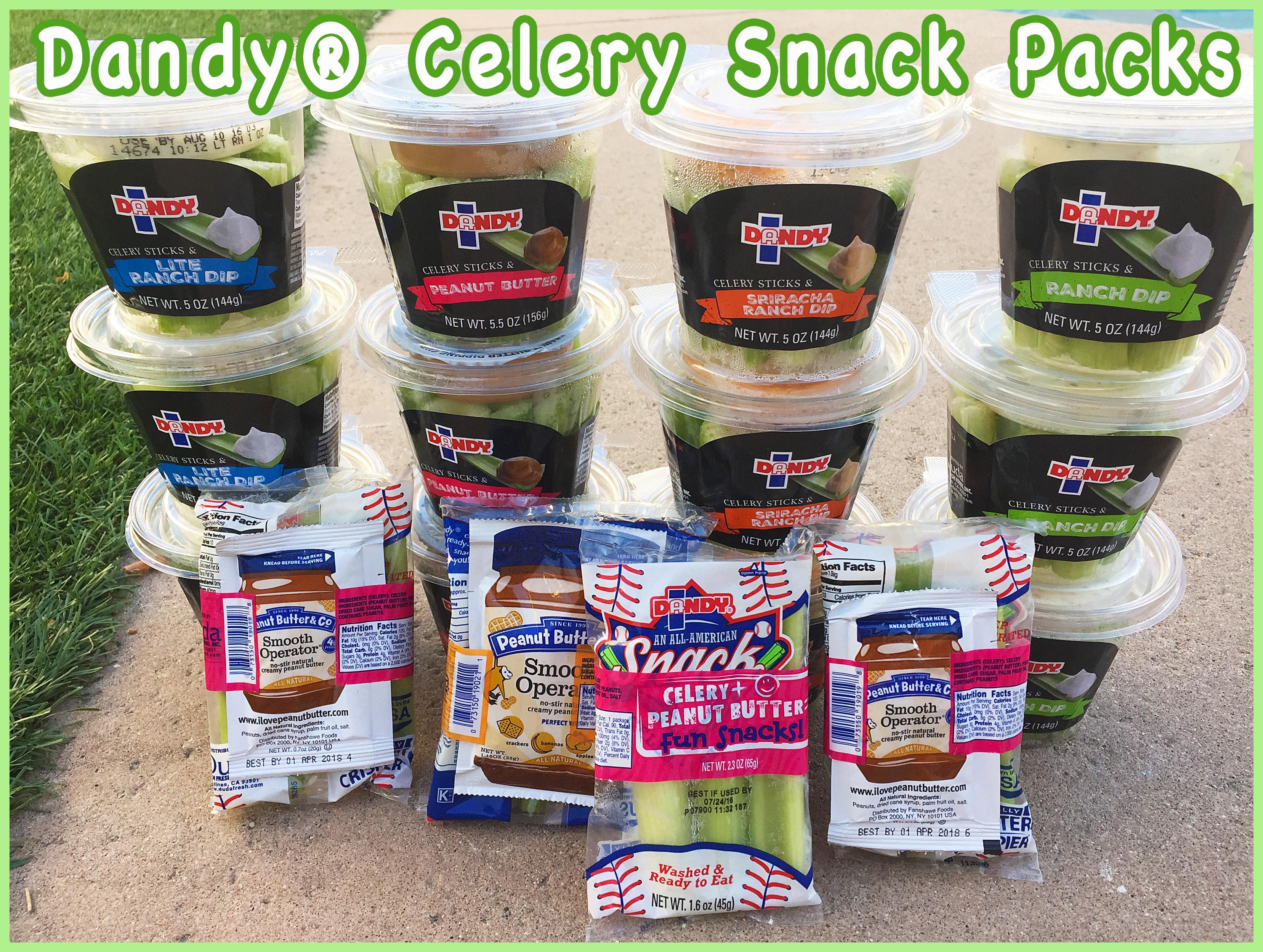 Dandy celery snacks-5