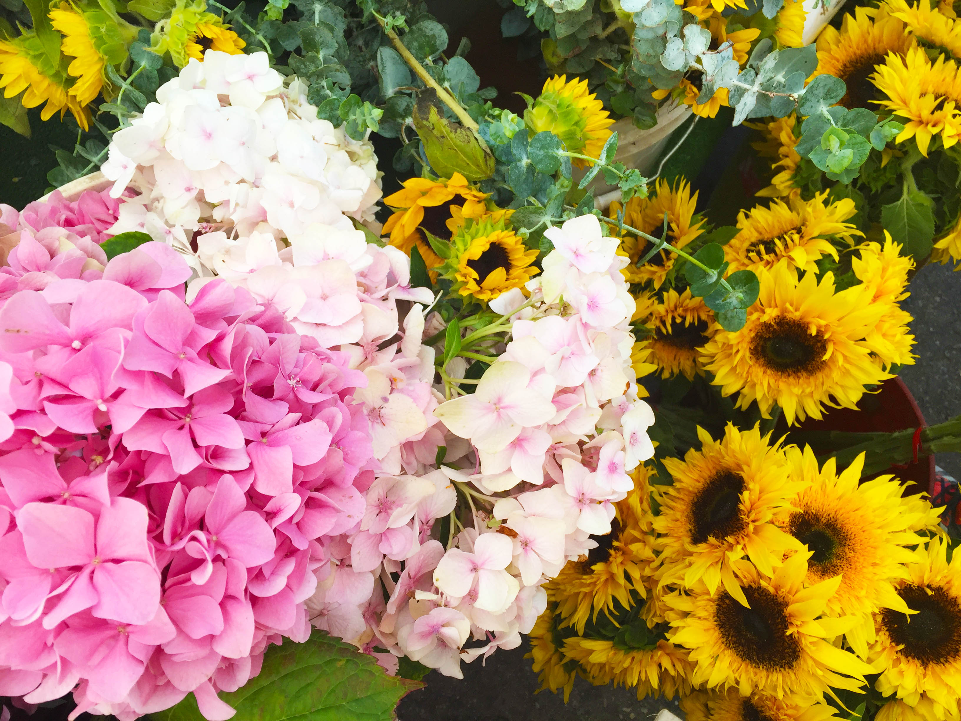 Farmers Market Flowers