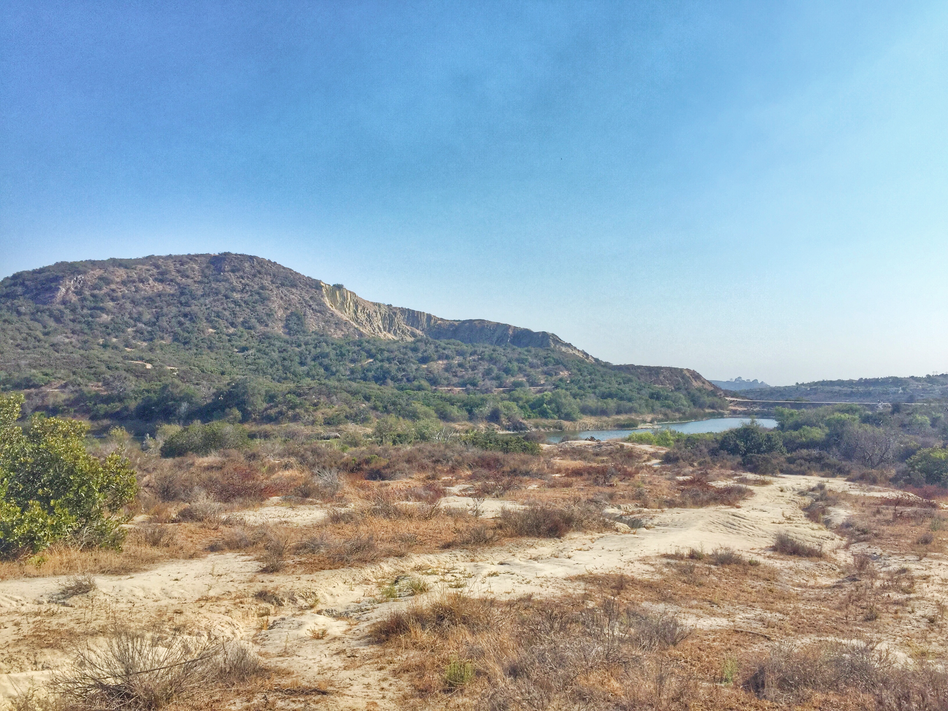 The view from my favorite nearby park & its little mountain