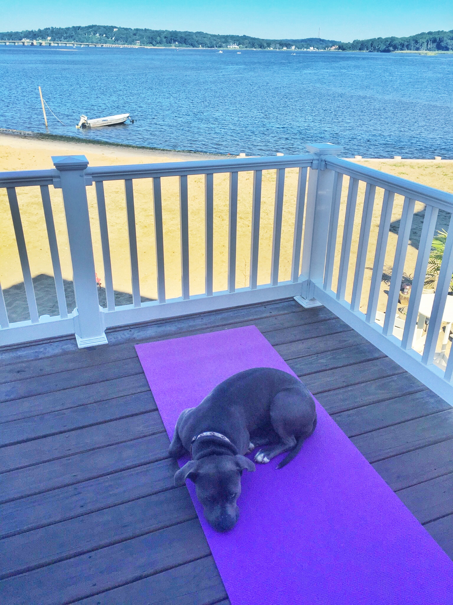 Jada hogging the yoga mat