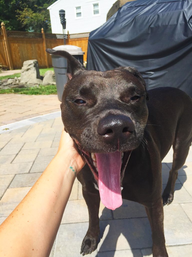 Jax hanging by the pool