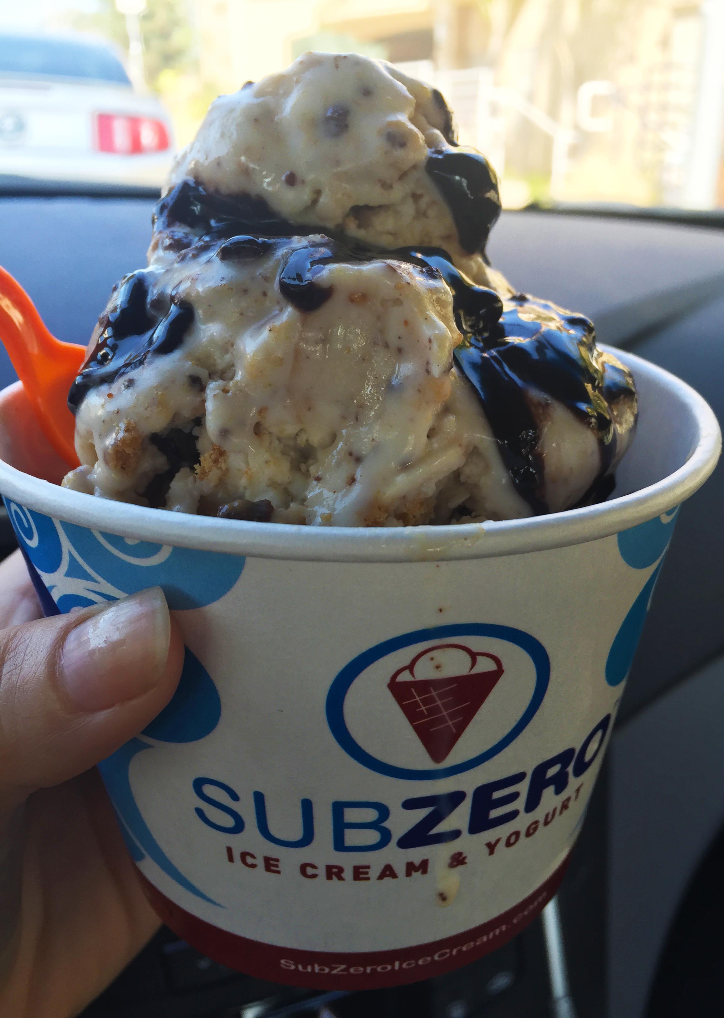 Sub Zero ice cream