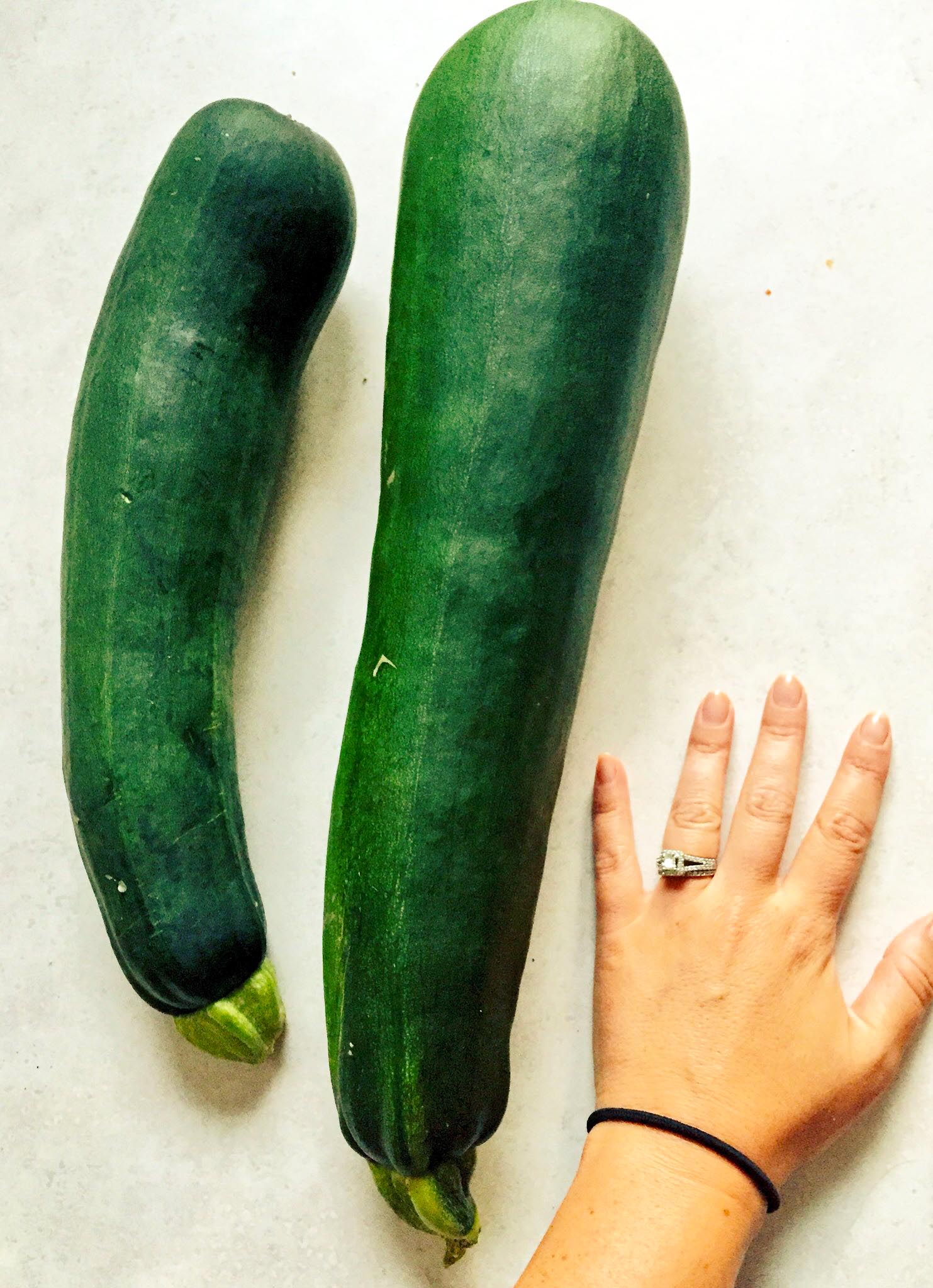 grandpa's zucchini