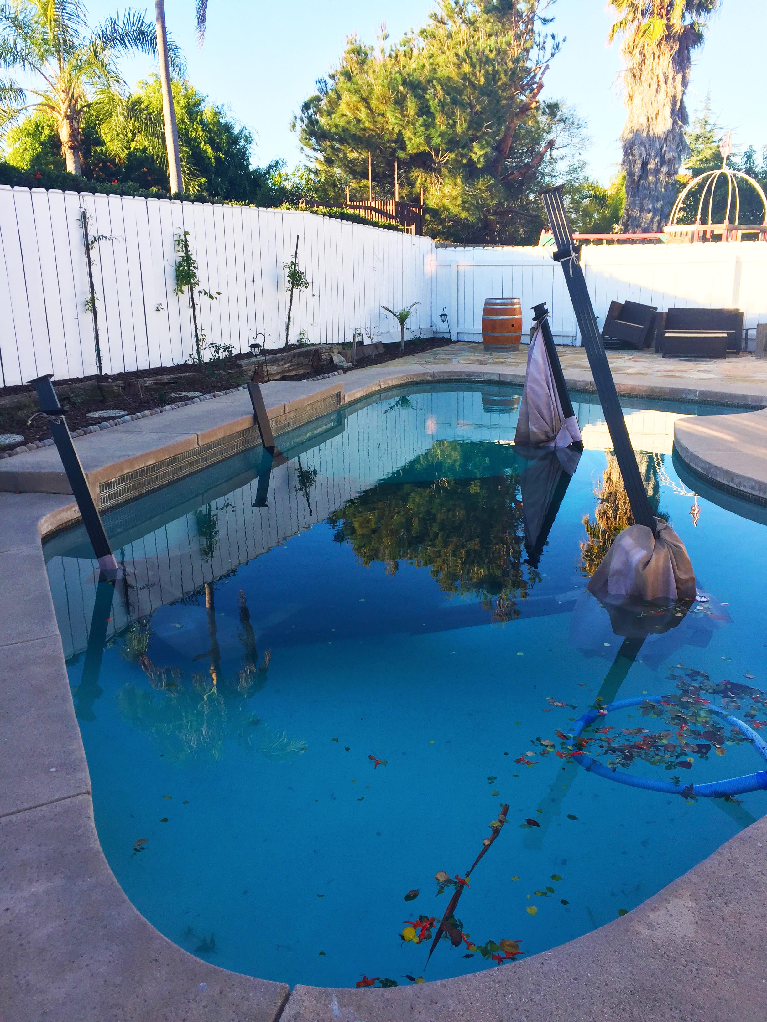 pergola in the pool