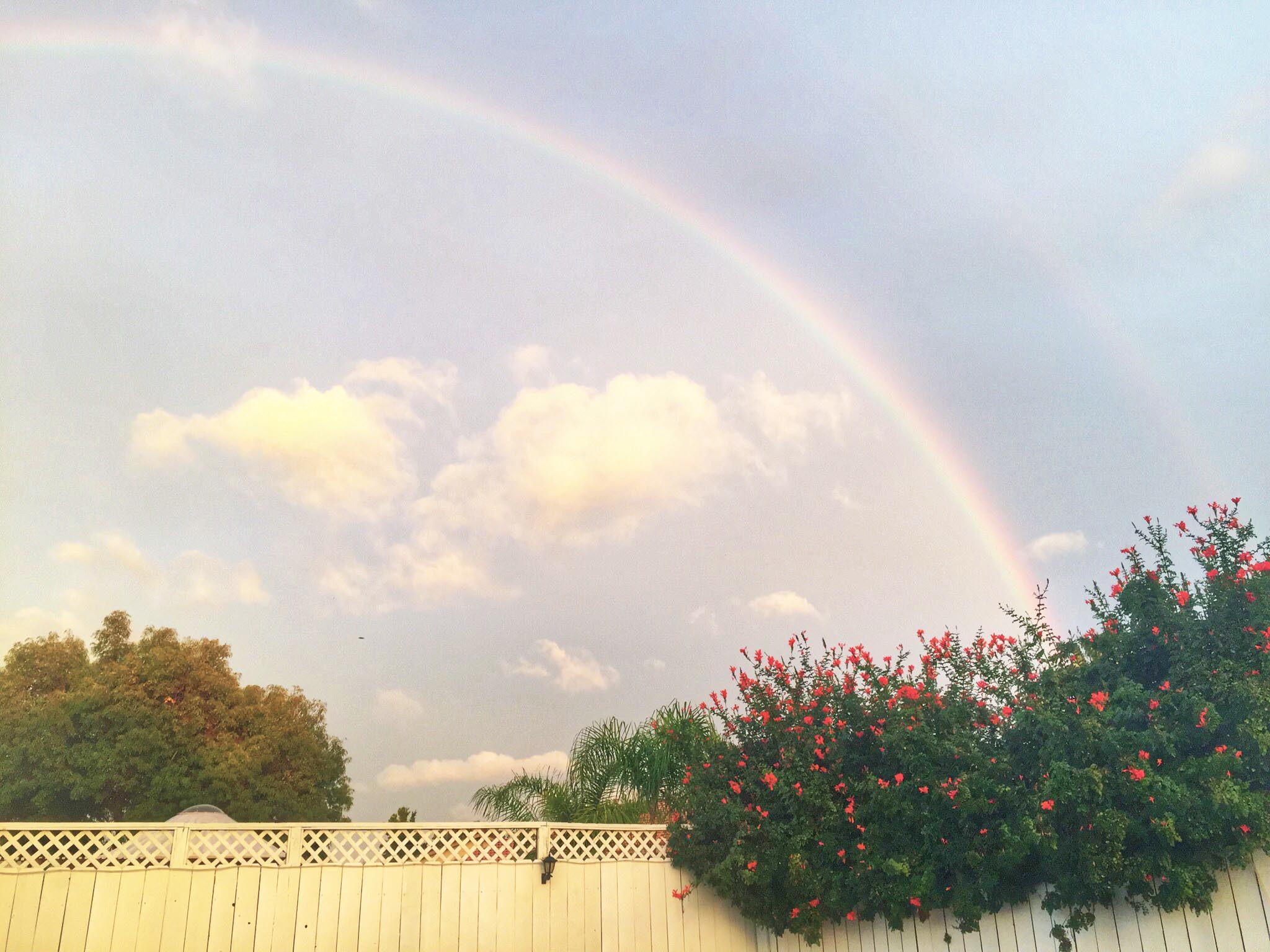 backyard-rainbow