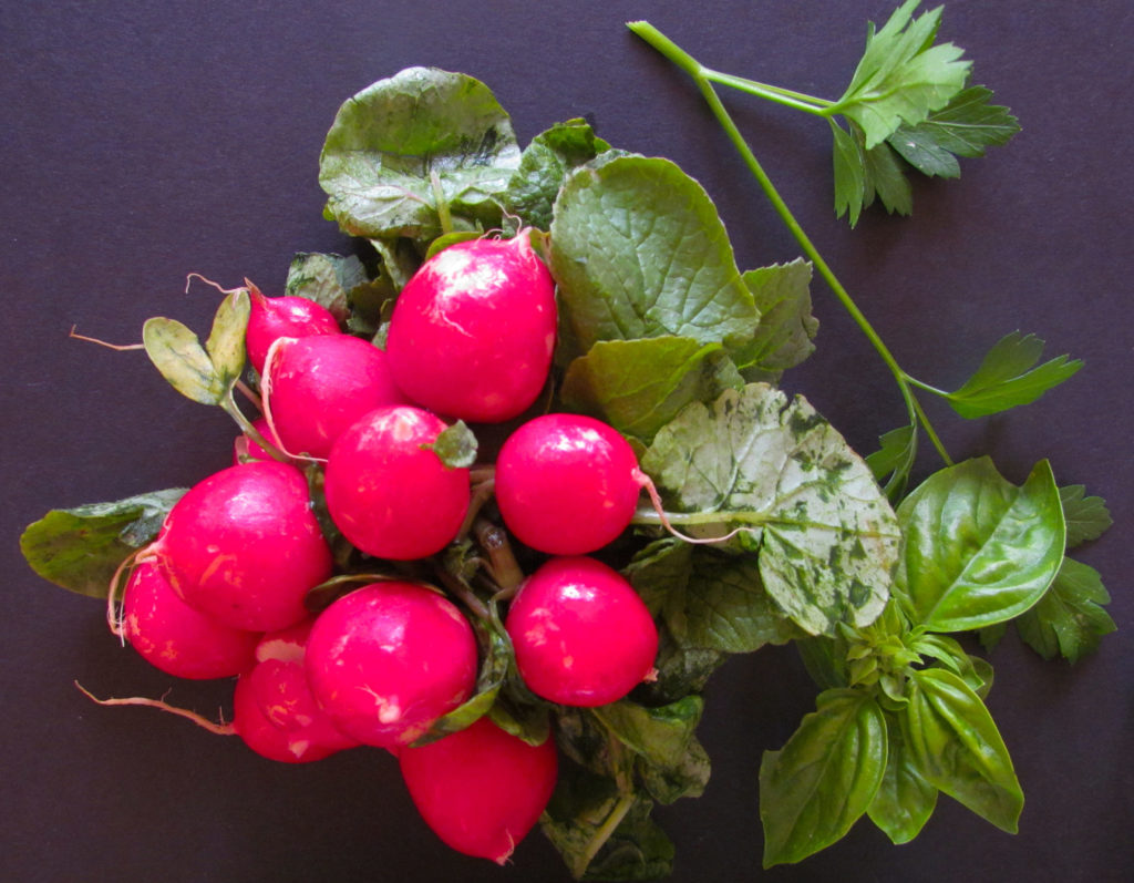 radishes-and-herbs