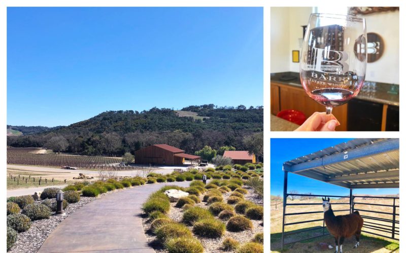5 Awesome Wineries to Visit in Paso Robles, California