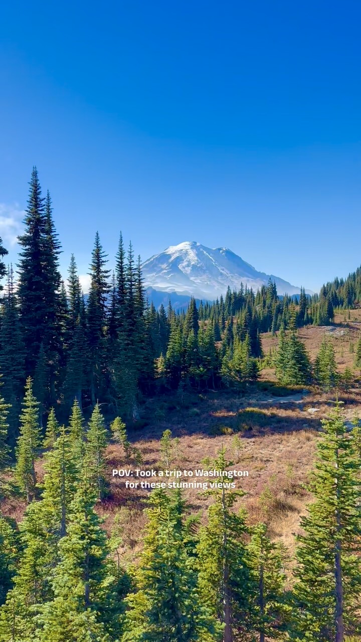 Came to Washington for these views 😍 Pictures & videos don’t quite do Mount Rainier justice! This marked National Park No. 9️⃣ with my little lady & it was an awesome day. 

I checked the weather incessantly leading up to this hike because the trailhead sits at 5,400 feet elevation & the area often closes for the winter right about now… It was chilly but once we got moving it was perfectly fine, especially because we got lucky with beautiful sunshine! Trailhead deets👇🏼

📍 Naches Peak Loop 
👣 3.5-mile loop
🏔️ 500 feet of elevation gain
✨ Offers gorgeous views around Tipsoo Lake, Naches Peak and Mount Rainier 
🍂 We missed peak fall foliage by a few weeks, but the area was still showing off with the tail end of great autumn mountain scenery last weekend! 

#wanderlust #familytravel #hikingtrails #bucketlist #nationalparks