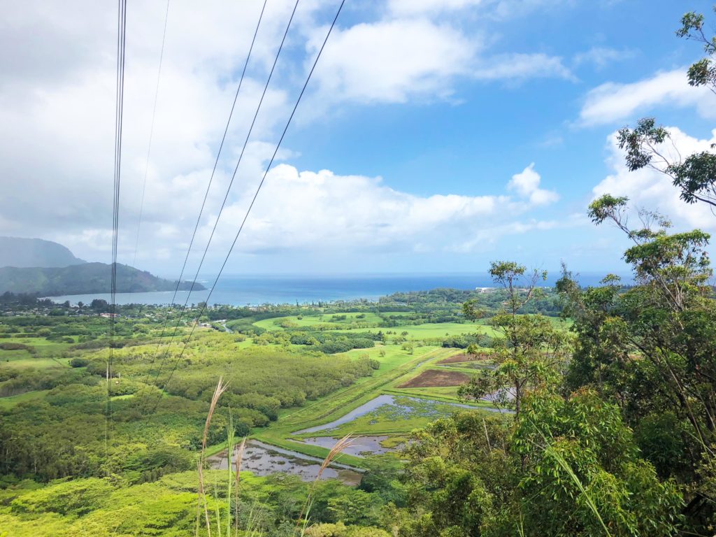 The view from the Okolehao Trail's first plateau