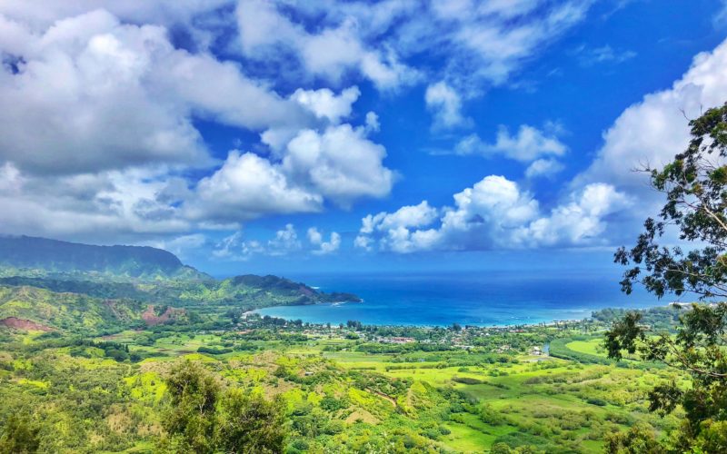 The view from Kauai's Okolehao Trail at 1.5 miles up