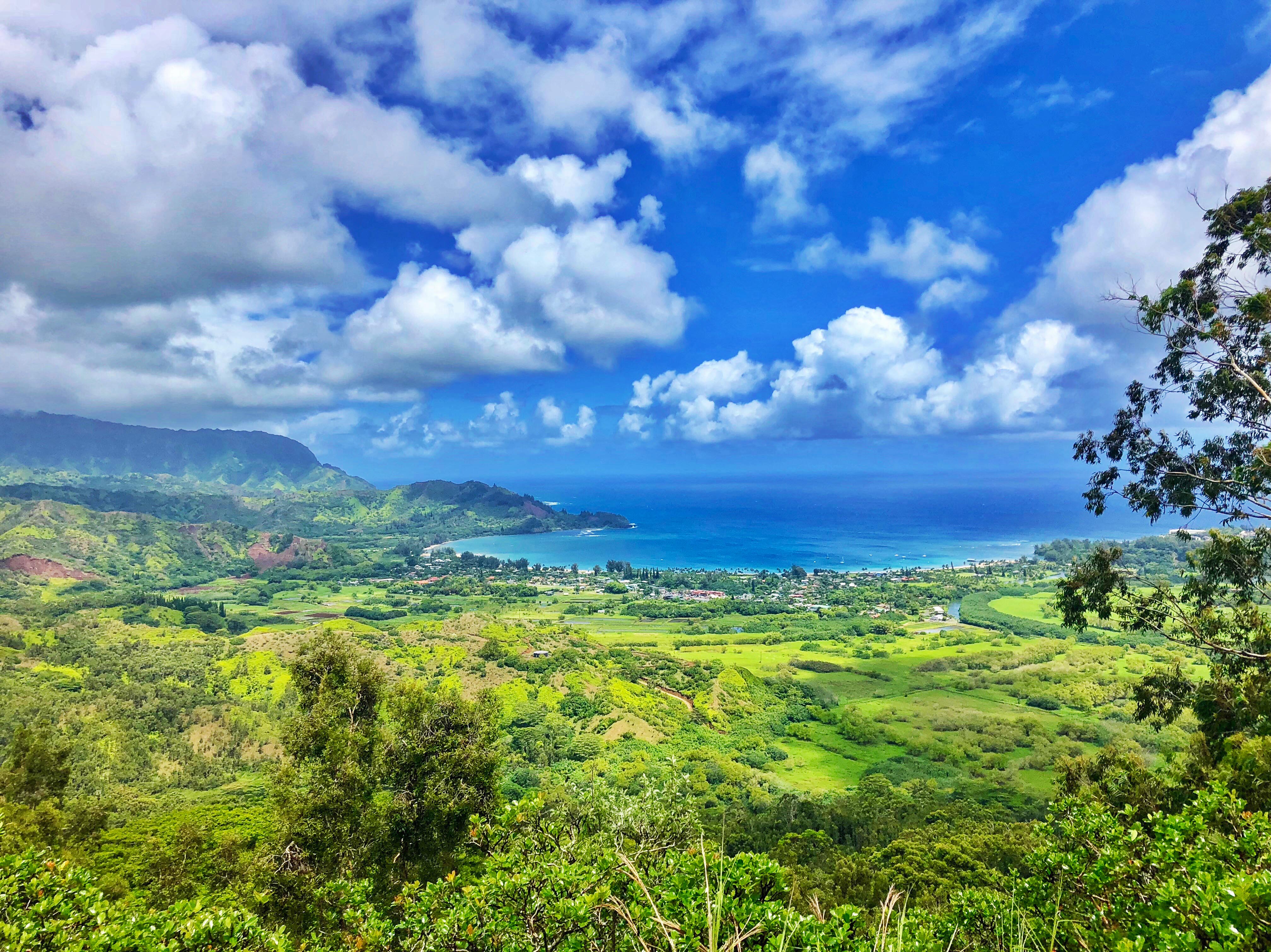 The view from Kauai's Okolehao Trail at 1.5 miles up
