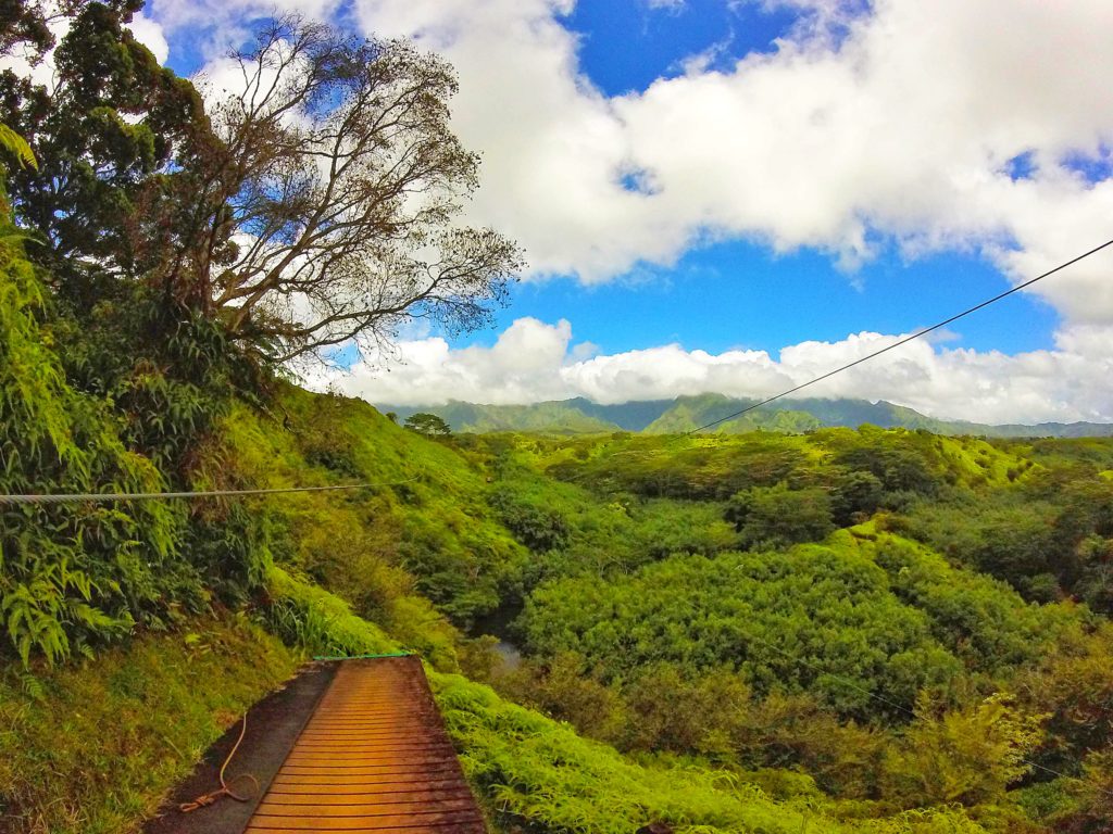 Ziplining in a rainforest in Kauai