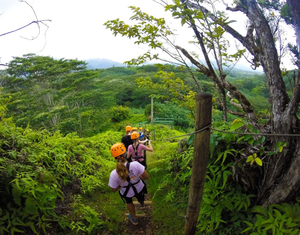 Ziplining in a rainforest in Kauai