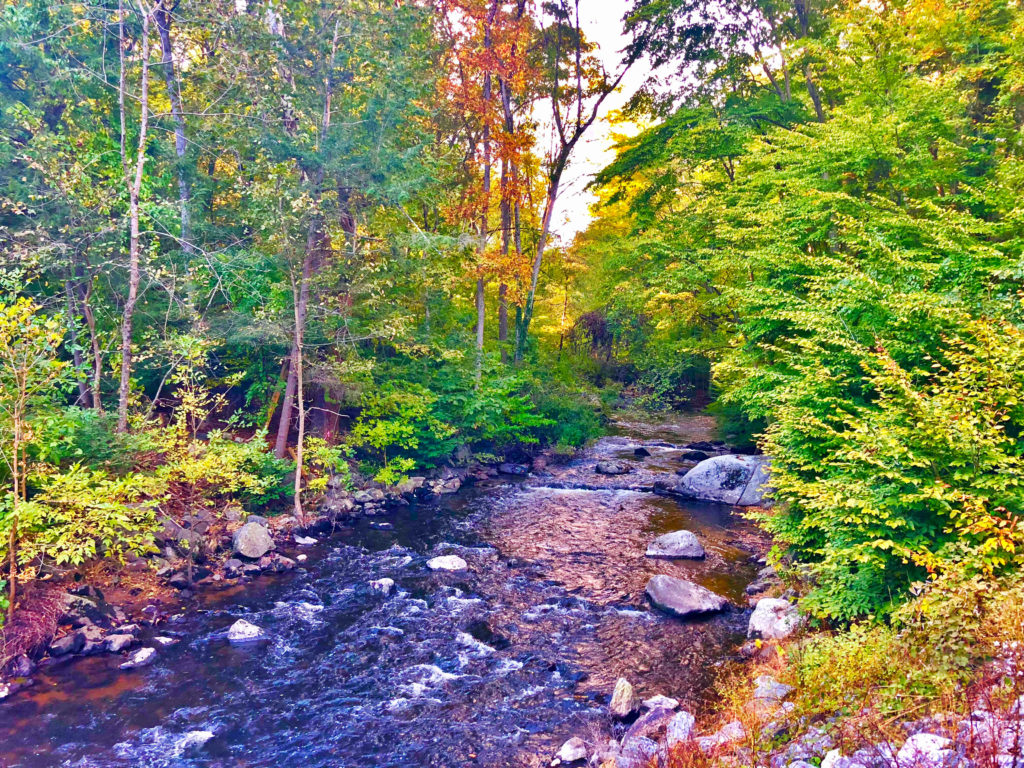 Escape To Nature’s Embrace: A Journey To Mianus River State Park